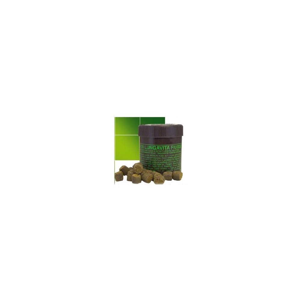 GRANI LUNGAVITA FIUGGI 35G