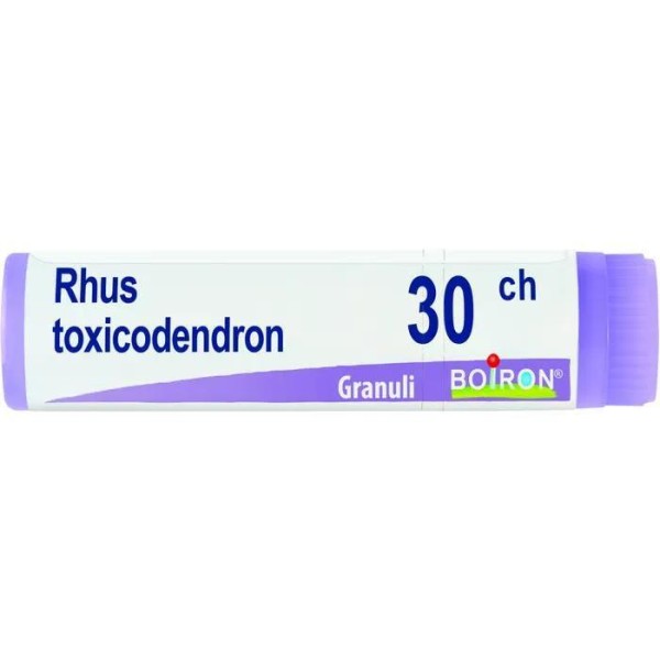 RHUS TOXICODENDRON%30CH GR 1G