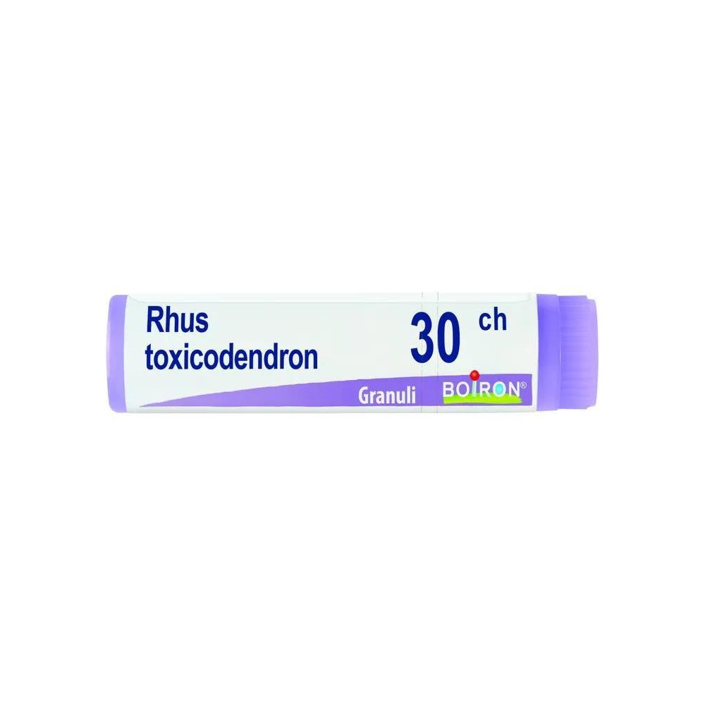 RHUS TOXICODENDRON%30CH GR 1G