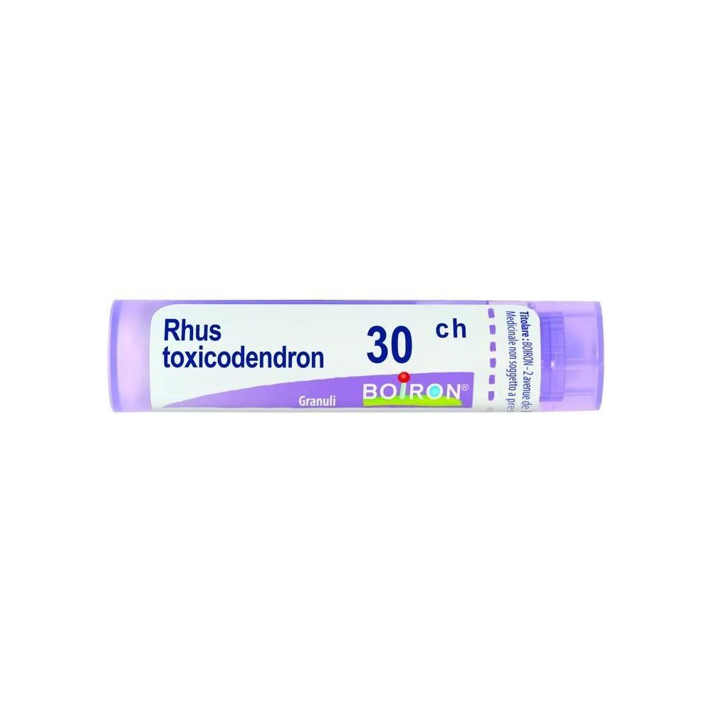 RHUS TOXICODENDRON%30CH 80GR4G