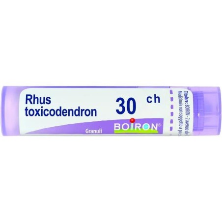RHUS TOXICODENDRON%30CH 80GR4G