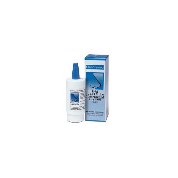 RECKEWEG R96 SPRAY NASALE 15ML