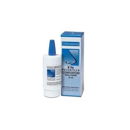 RECKEWEG R96 SPRAY NASALE 15ML