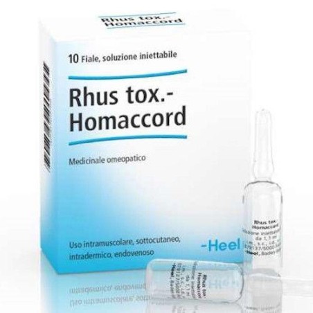 RHUS TOX HOMAC 10F 1,1ML HEEL