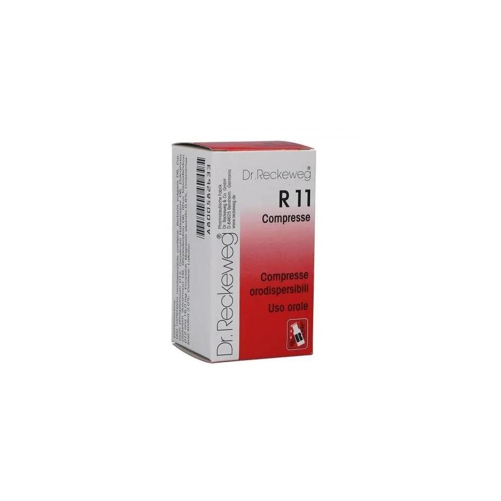 RECKEWEG R11 100CPR 0,1G