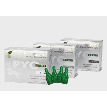PYO SPOT CANE 0-10KG