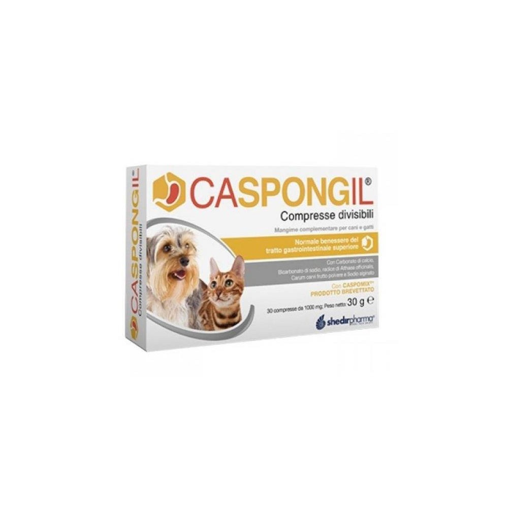 CASPONGIL 30CPR DIVISIBILI