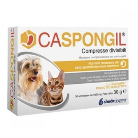 CASPONGIL 30CPR DIVISIBILI