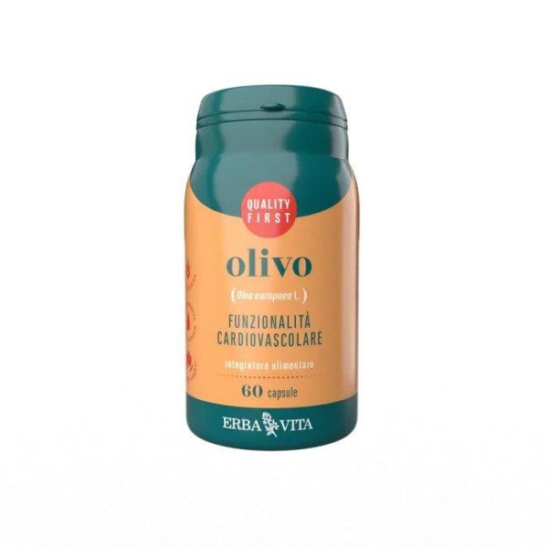 OLIVO 60CPS