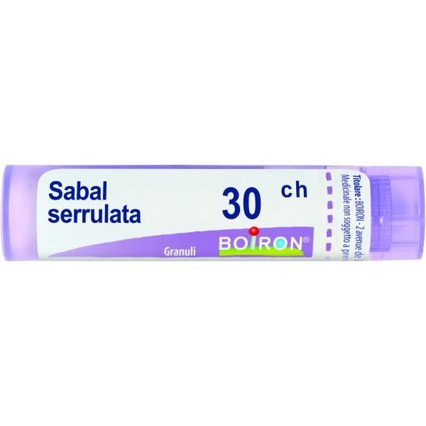 SABAL SERRULATA 30CH GR