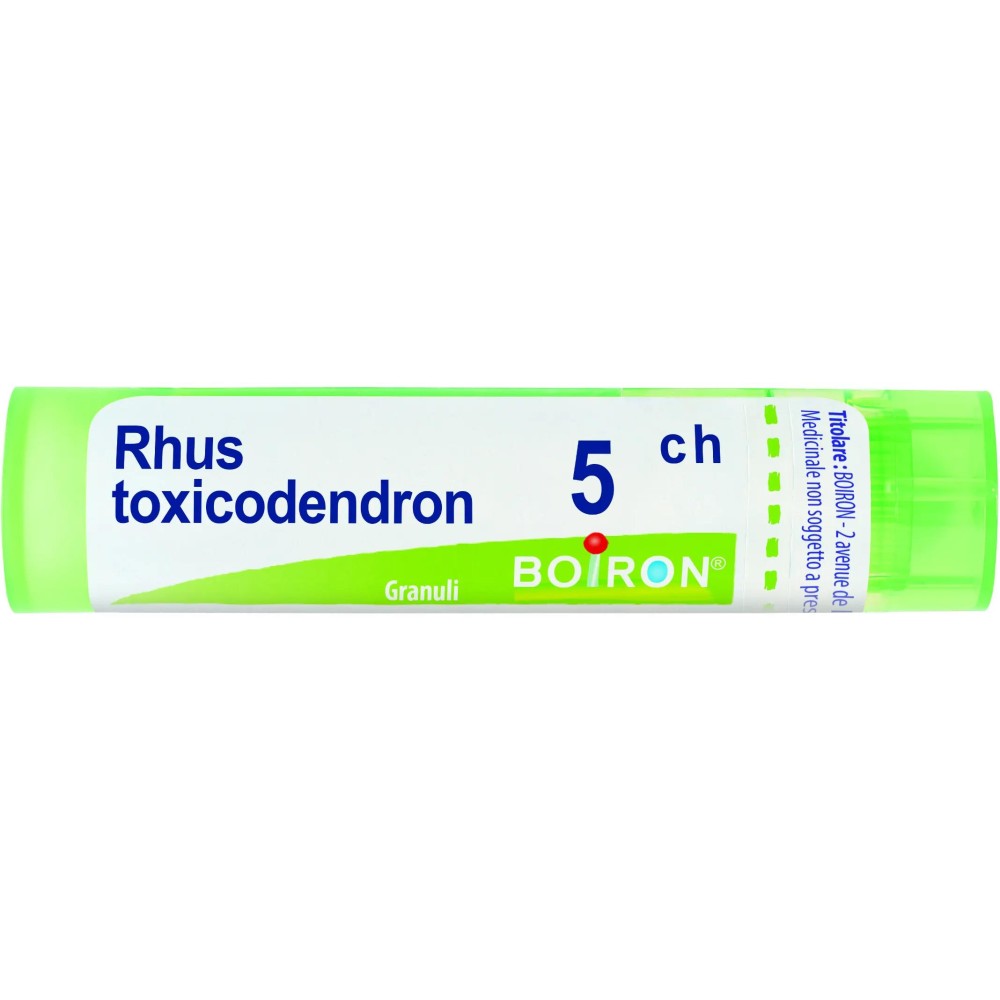 RHUS TOXICODENDRON%5CH 80GR 4G