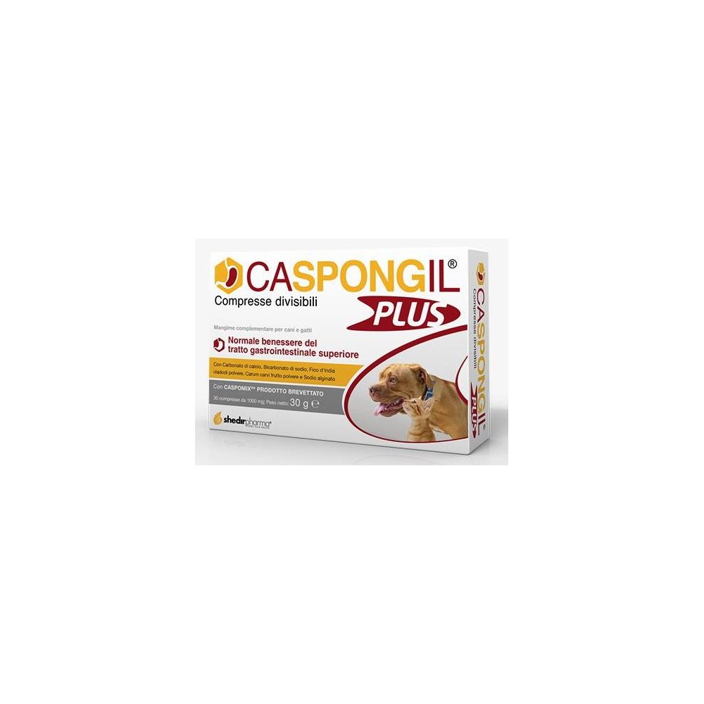 CASPONGIL PLUS 30CPR