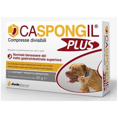 CASPONGIL PLUS 30CPR