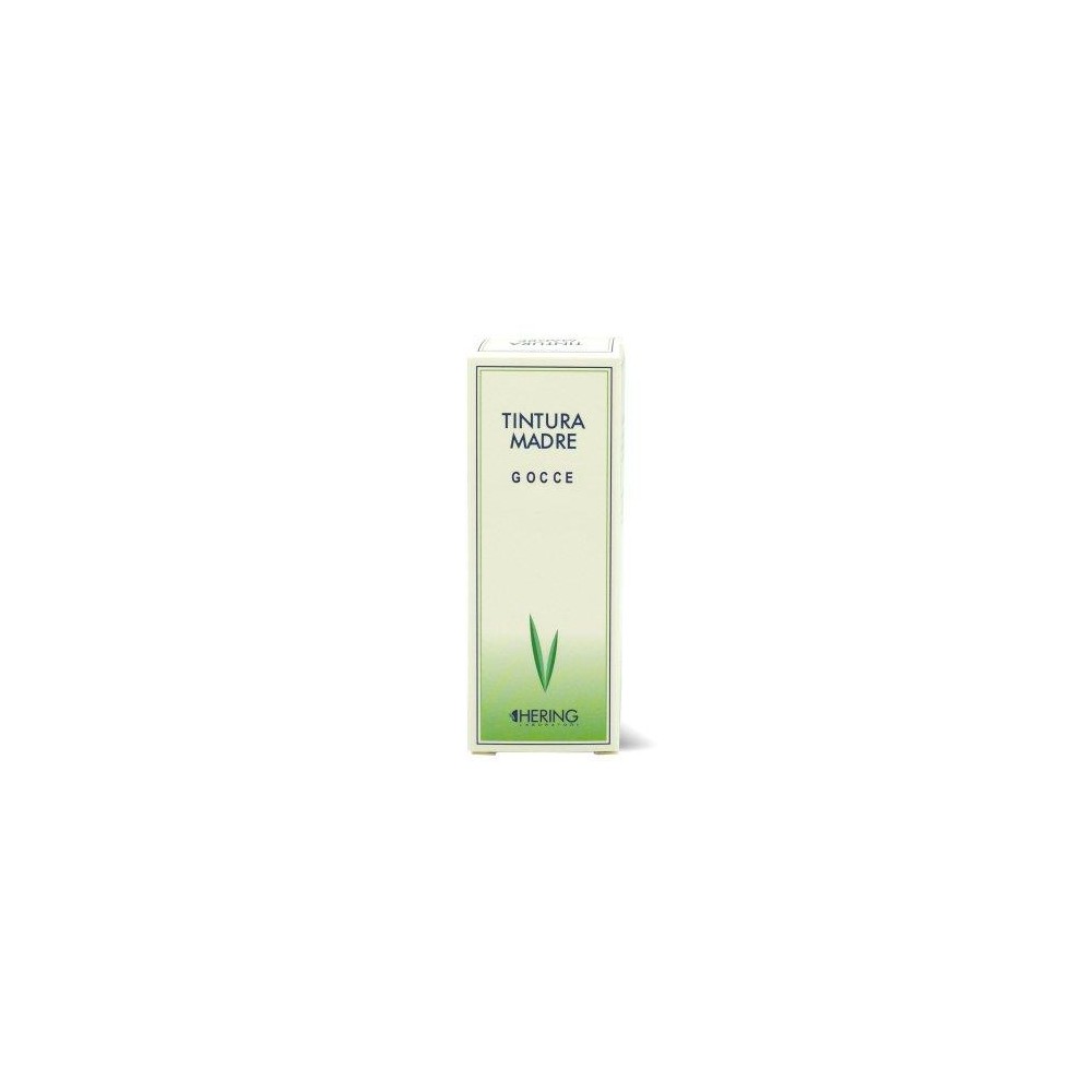 PROPOLIS 125ML TM