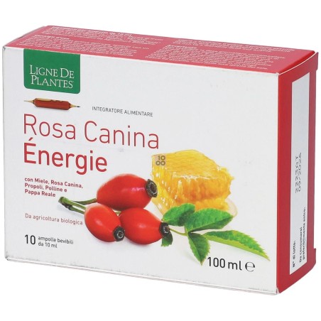 ROSA CANINA ENERGIE BIO 10AMP