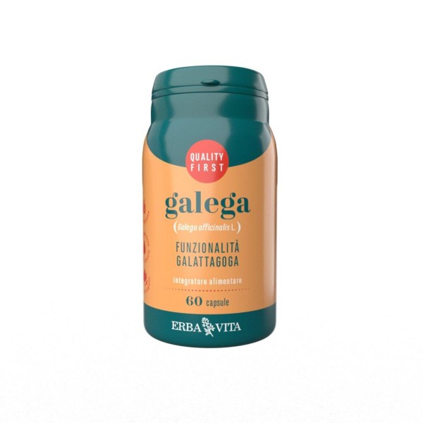 GALEGA 60CPS