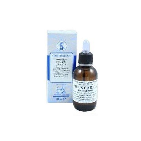 FICUS CARICA GEMME 100ML MG