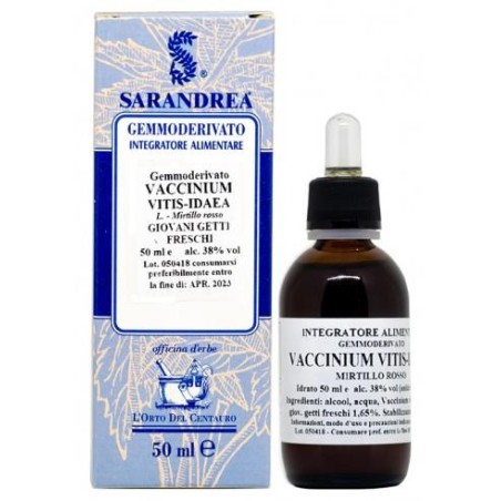 VACCINIUM VITIS/IDAEA 100ML MG