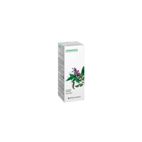 GEMMOSOL 36 RIBES NERO 100ML