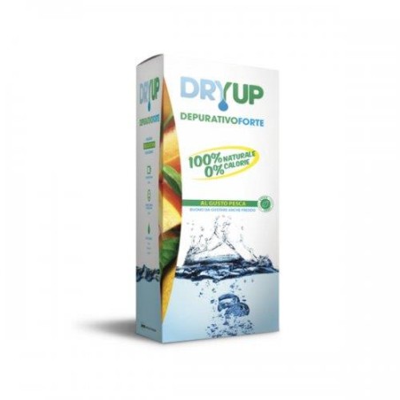 DRYUP DEPURATIVO FORTE 300ML