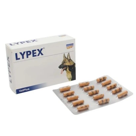 LYPEX 60CPS