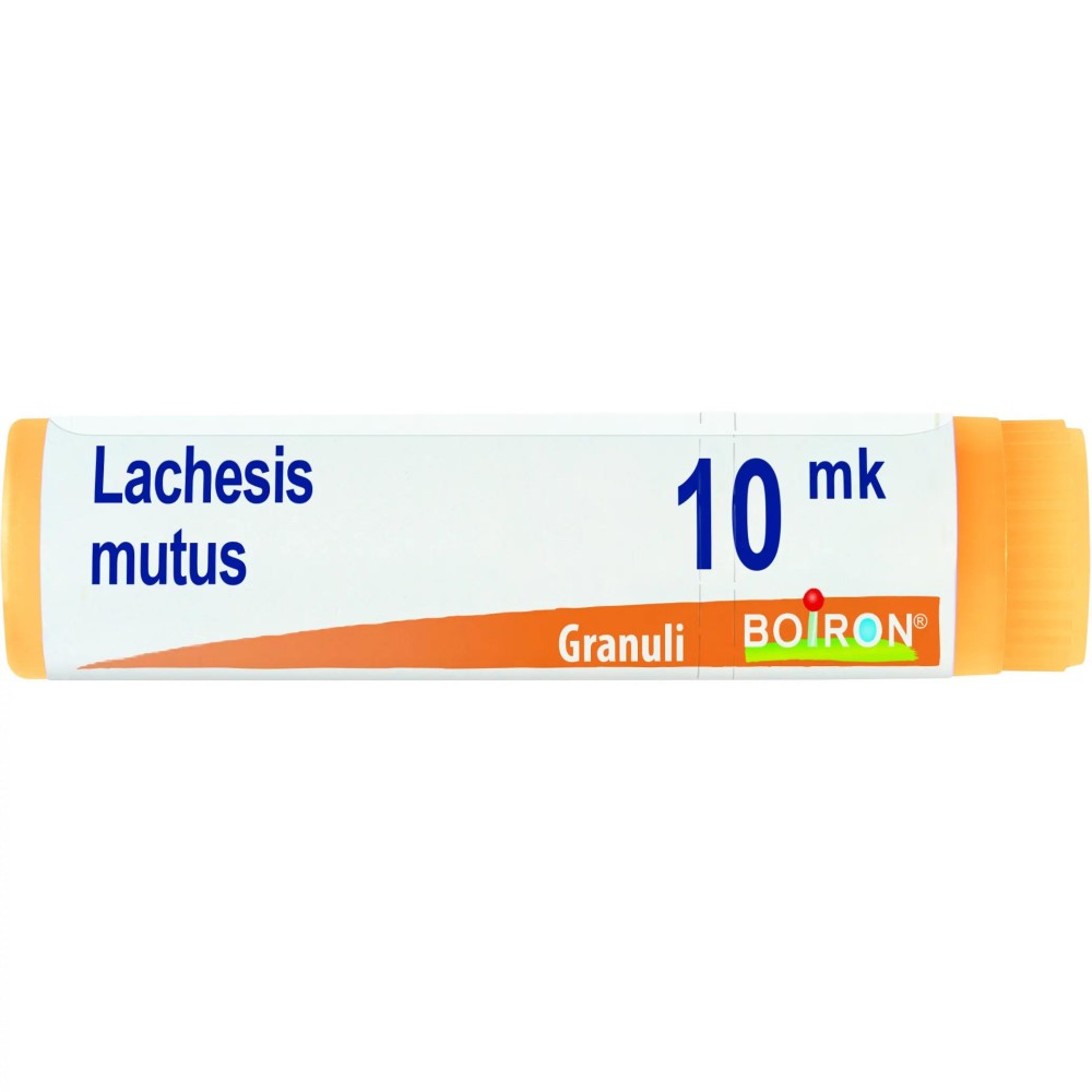 LACHESIS MUTUS XMK GL