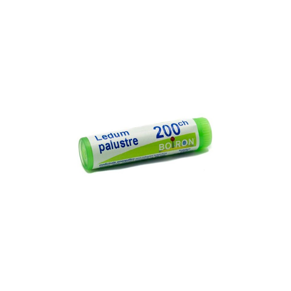 LEDUM PALUSTRE 200CH GL