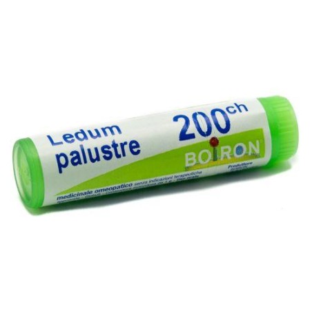 LEDUM PALUSTRE 200CH GL