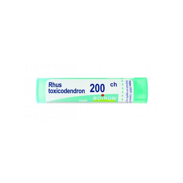 RHUS TOXICODENDRON%200CH 80GR