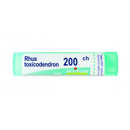 RHUS TOXICODENDRON%200CH 80GR