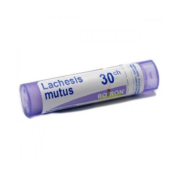 LACHESIS MUTUS%012LM 80GR 4G