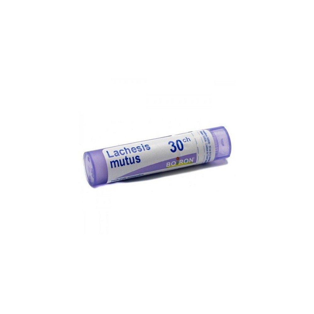 LACHESIS MUTUS%012LM 80GR 4G