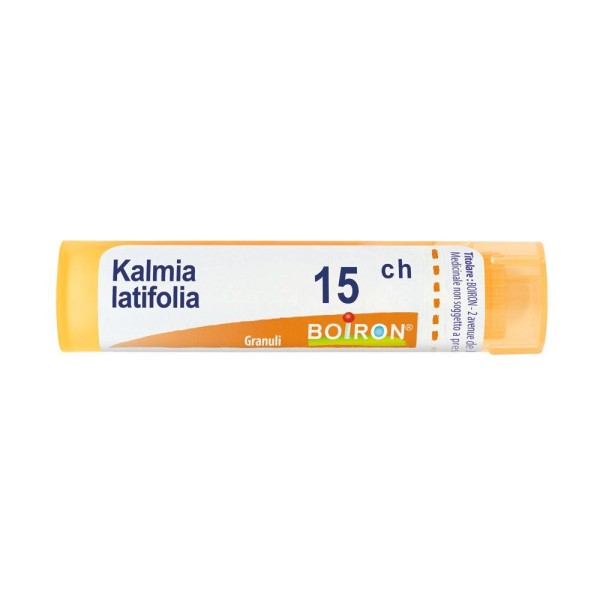 KALMIA LATIFOLIA%15CH 80GR 4G