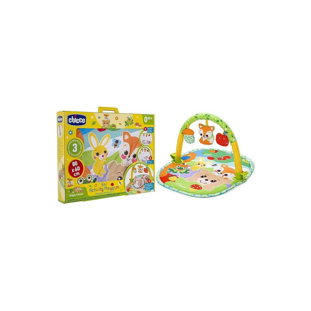 CH PALESTRINA DELLE ATTIVIT