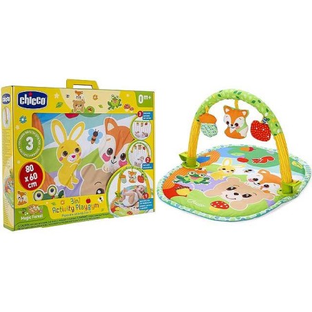 CH PALESTRINA DELLE ATTIVIT