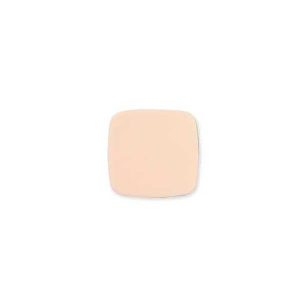 AQUACEL FOAM NON ADH 10X10 10P