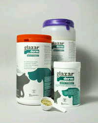 GLAZARDERM 500G