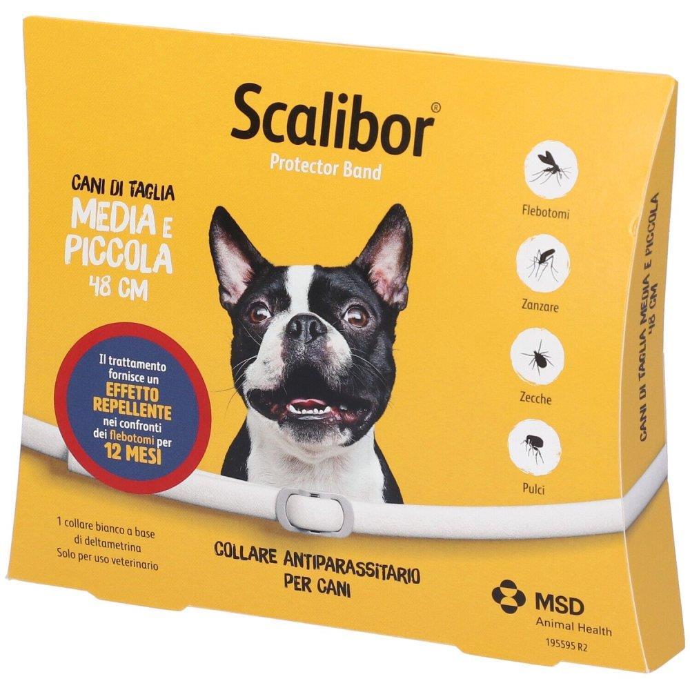 SCALIBOR PROTECTOR BAND%BI48CM
