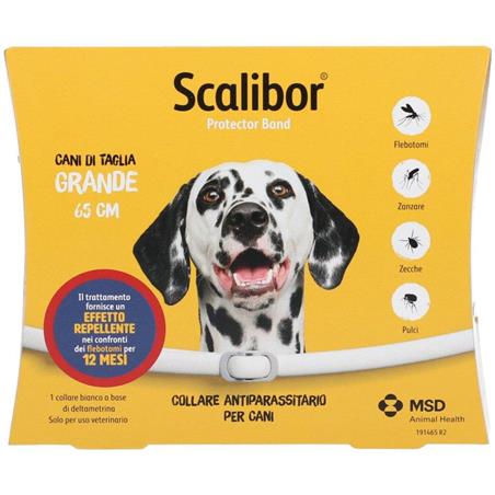 SCALIBOR PROTECTOR BAND%BI65CM