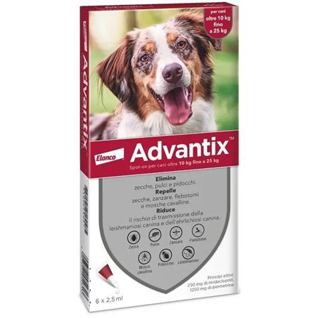 ADVANTIX SPOT ON%6PIP 10-25KG
