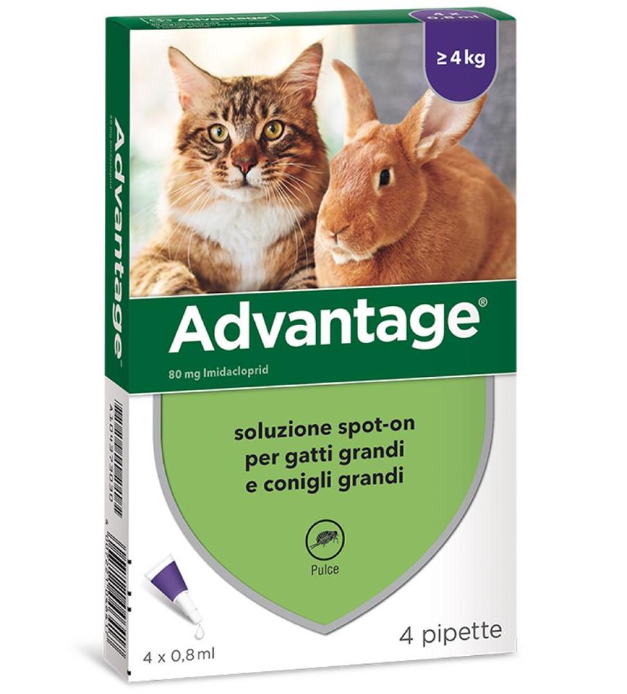 ADVANTAGE%4PIP 0,8ML SPOTON