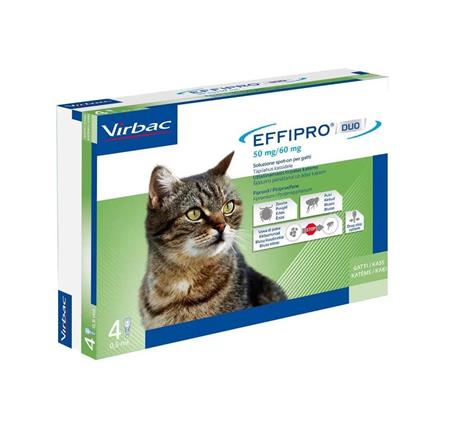 EFFIPRO DUO%4PIP 1-6KG GATTI