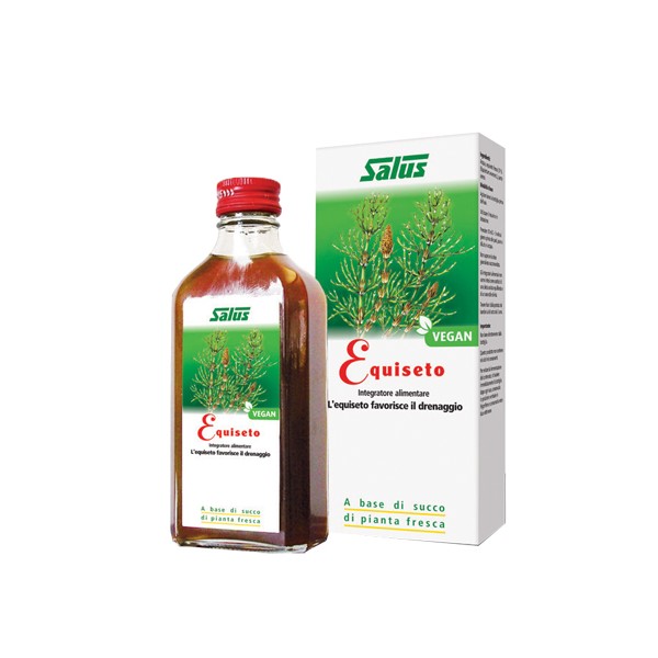 EQUISETO SUCCO 200ML BIO