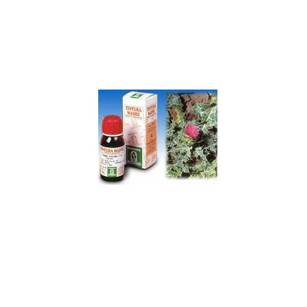 CARDO MARIANO 6 50ML TM