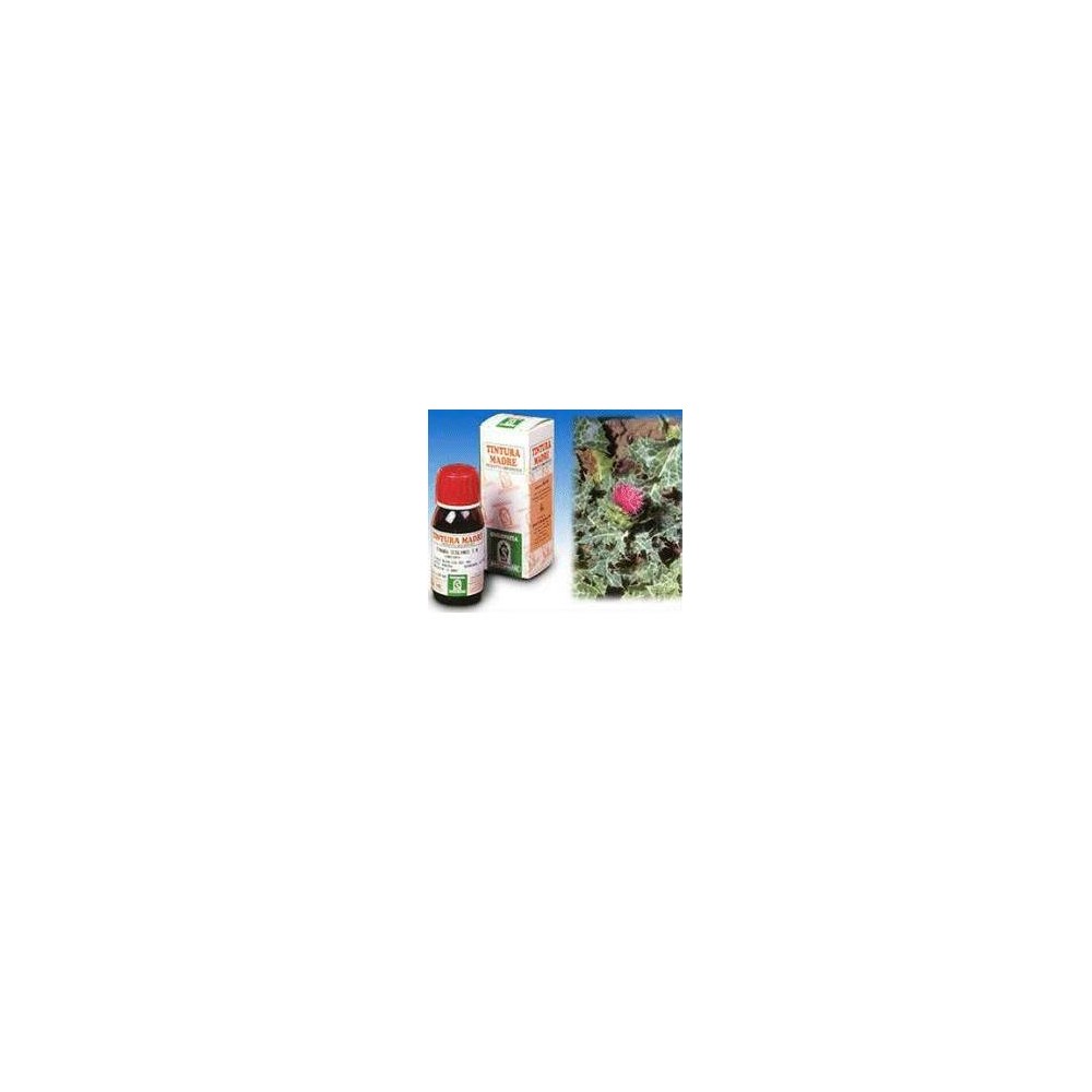 CARDO MARIANO 6 50ML TM