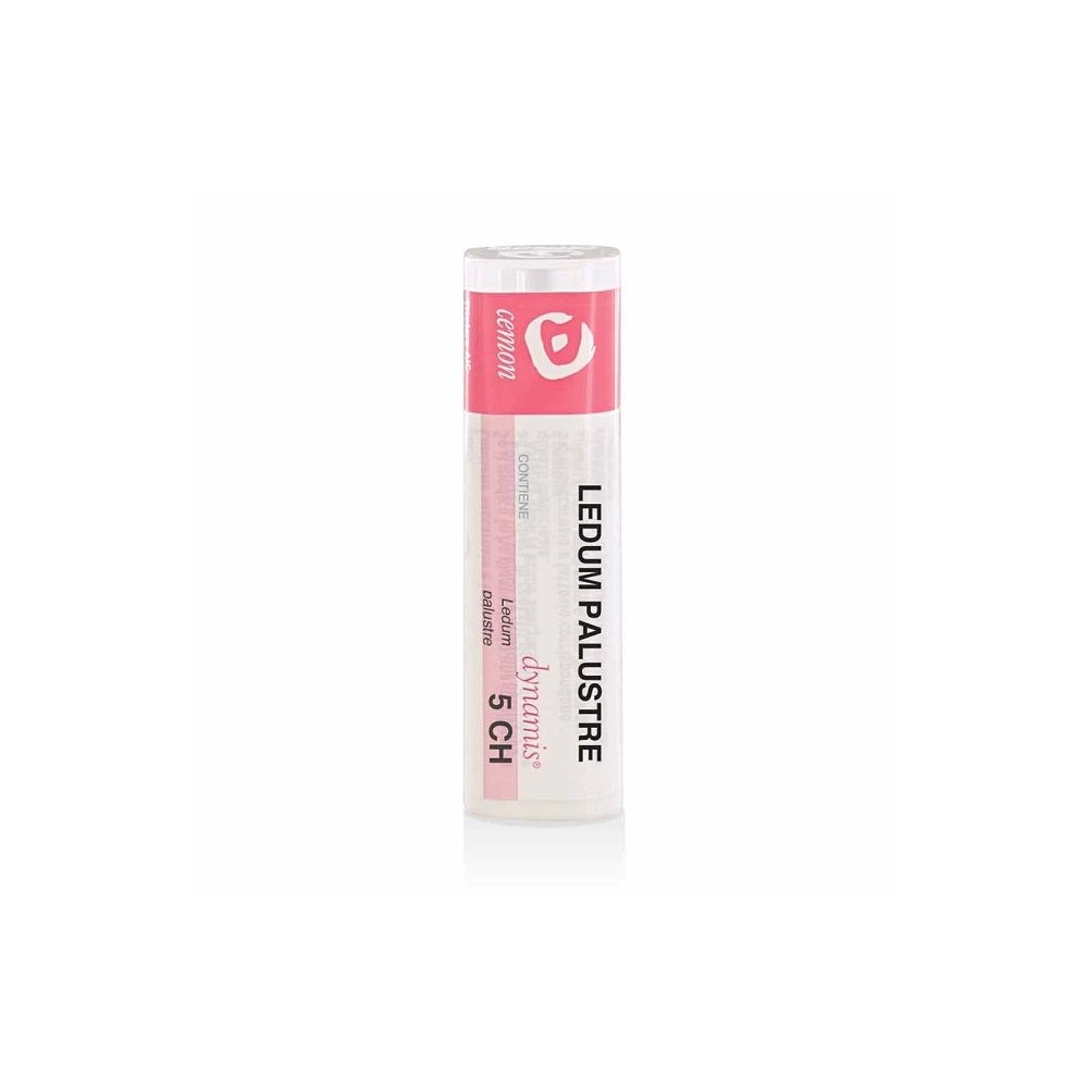 LEDUM PALUSTRE 5CH GR