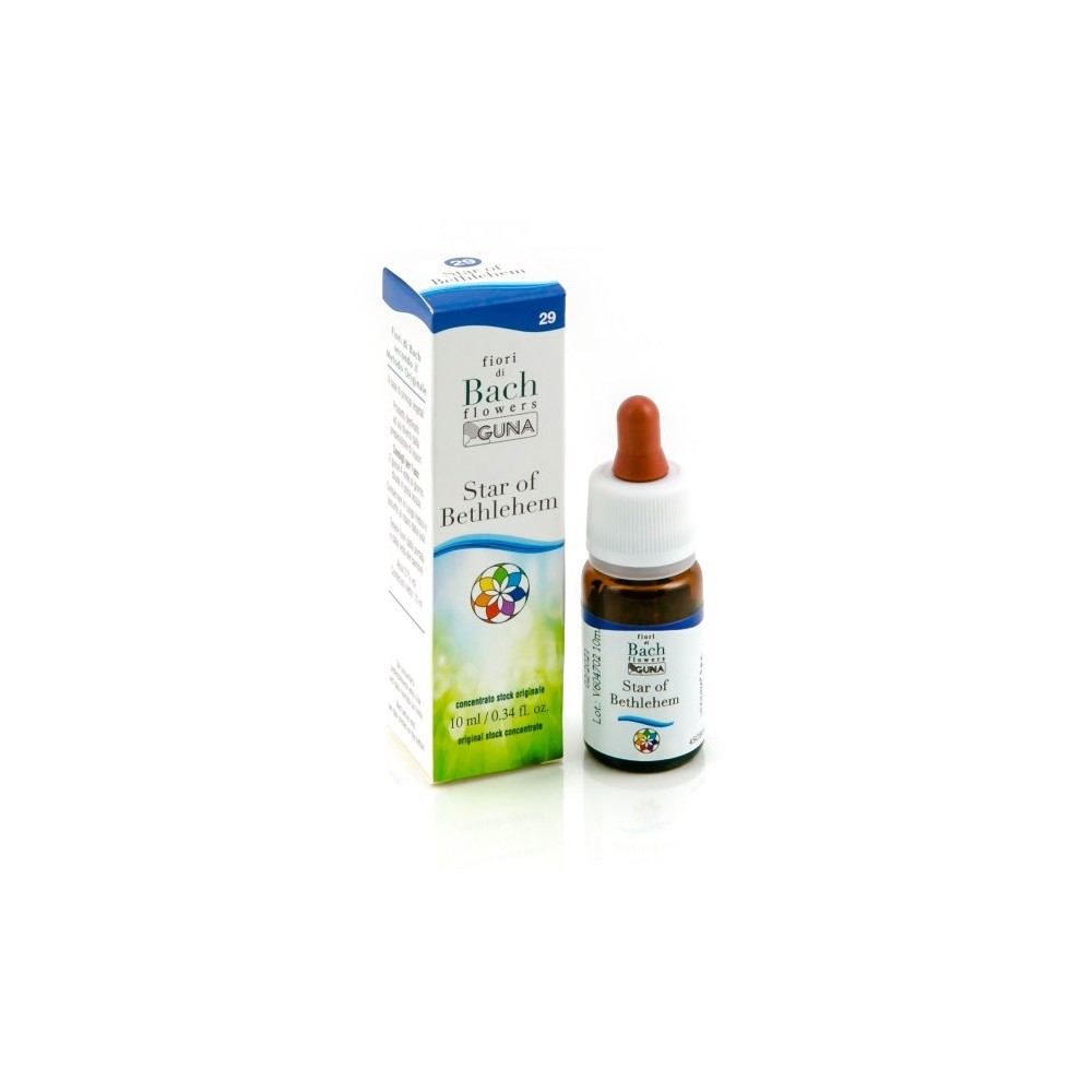 STAR OF BETH GUN GTT 10ML