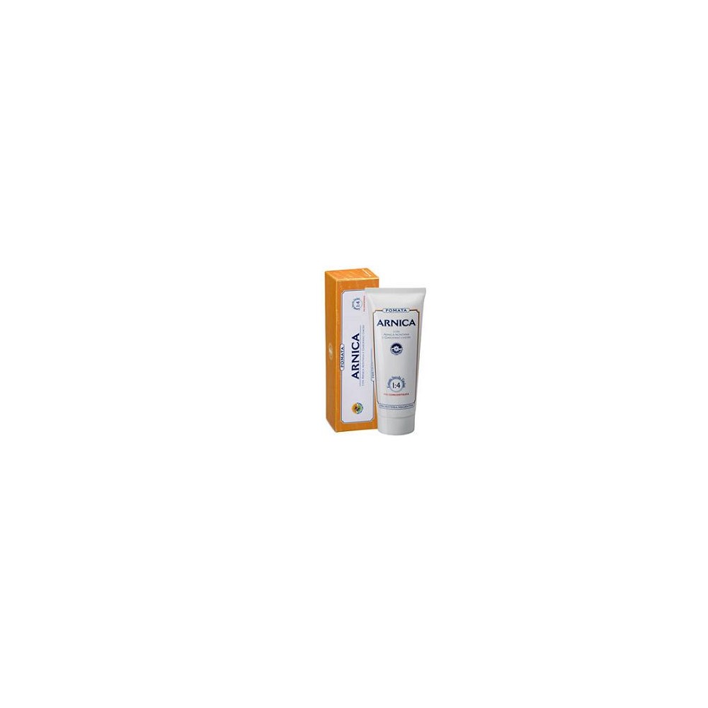 ARNICA FORTE POMATA 100ML