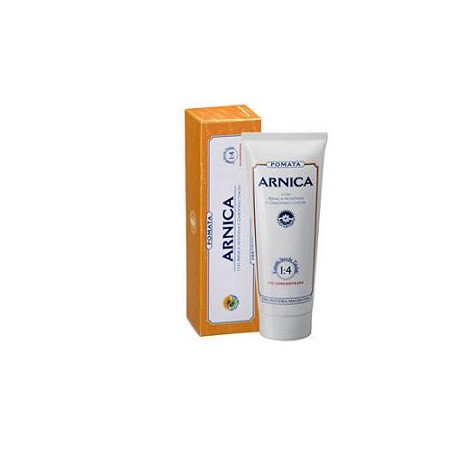 ARNICA FORTE POMATA 100ML