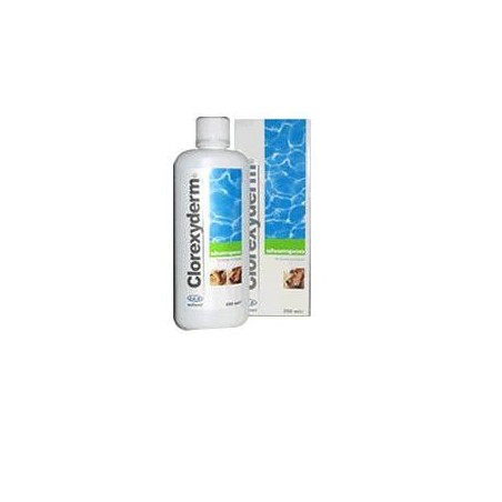 CLOREXYDERM SHAMPOO 250ML